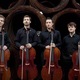 Polish Cello Quartet