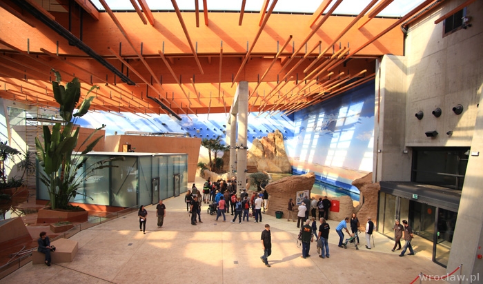 Afrykarium Wrocław otwarcie. Cennik, godziny otwarcia | www.wroclaw.pl