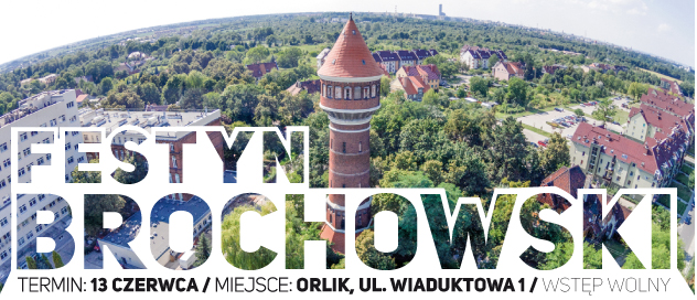 XXI Festyn Brochowski