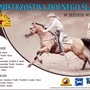 VIII Otwarte Mistrzostwa Dolnego Śląska w Jeździe Western