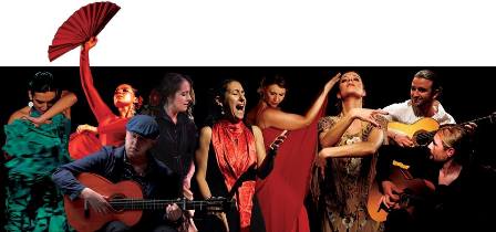Pasja Flamenco