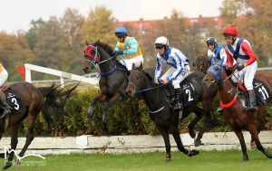 Ostatnie gonitwy i Hubertus – koniec sezonu wyścigowego