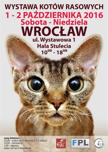 Międzynarodowa wystawa kotów rasowych