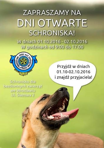 Dni Otwarte Schroniska dla Bezdomnych Zwierząt