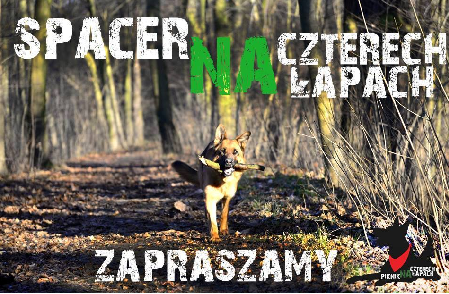 Spacer na czterech łapach