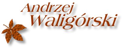 21 czerwca