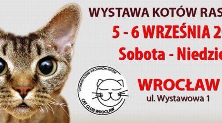 Międzynarodowa Wystawa Kotów Rasowych