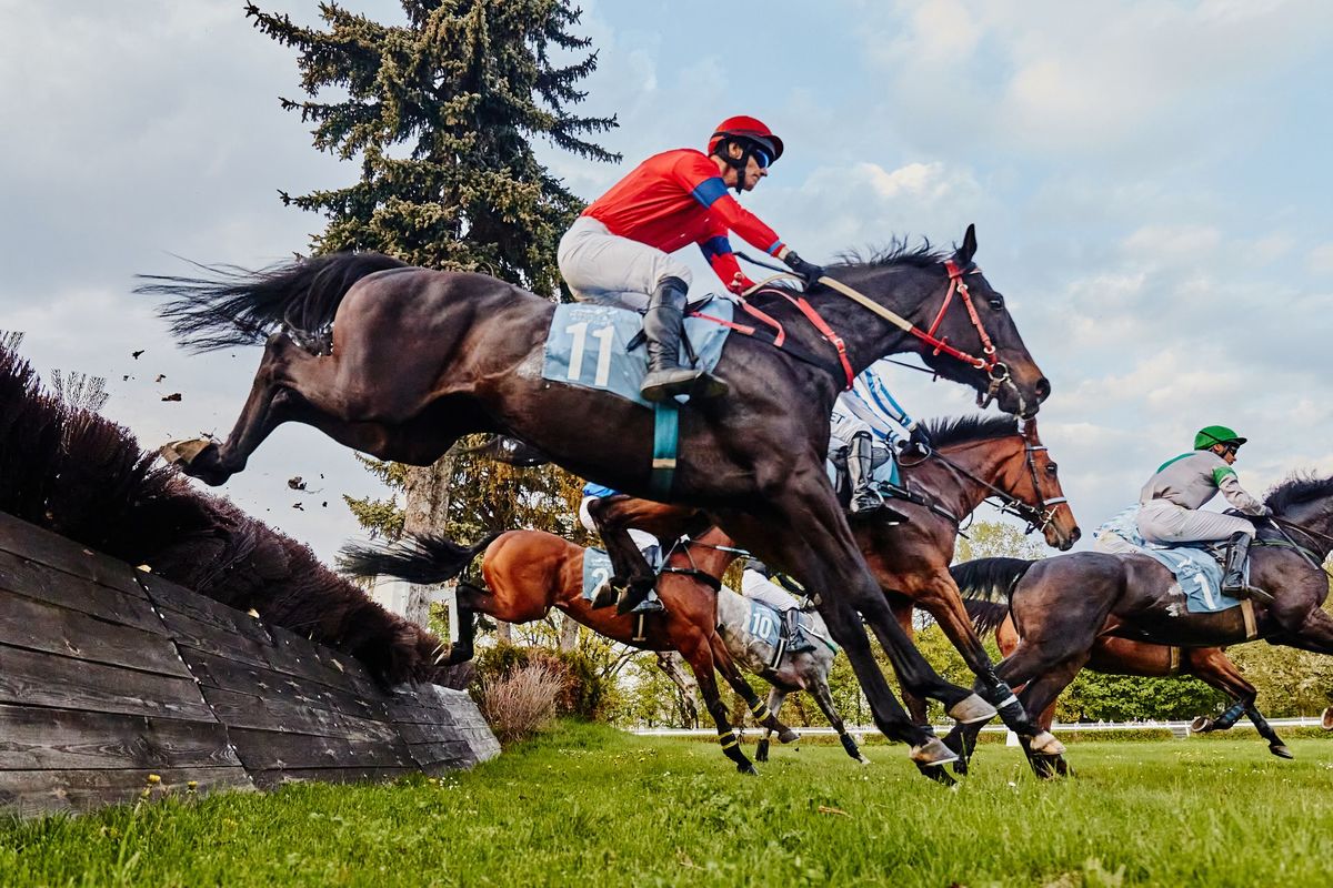 Český den v Partynici.