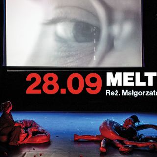 Zdjęcie wydarzenia Spektakl „Meltdown” w reż. Małgorzaty Lech w ramach teatru na Faktach
