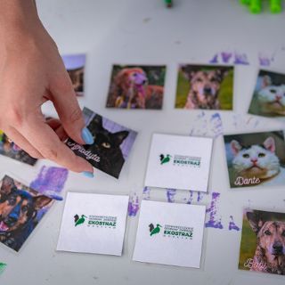 Zdjęcie wydarzenia Spotkanie z EKOSTRAŻĄ w ZaZoo