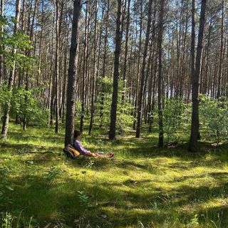 Zdjęcie wydarzenia Wieczorna Kąpiel Leśna – Park Szczytnicki