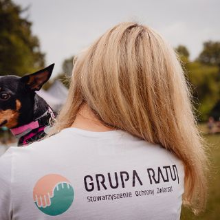 Zdjęcie wydarzenia V Wielki Piknik Charytatywny GRUPY RATUJ