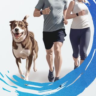 Zdjęcie wydarzenia Bieg charytatywny ZPF RUN