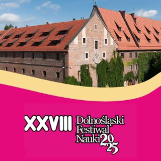 Uzbrojenie królów Polski