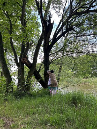 Zdjęcie wydarzenia Wieczorna Kąpiel Leśna – Park Szczytnicki