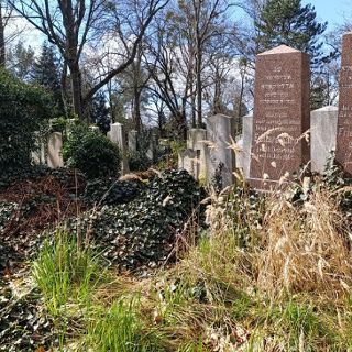 Zdjęcie wydarzenia Cmentarz Żydowski – opowieść o dawnych mieszkańcach [spacer z przewodnikiem]