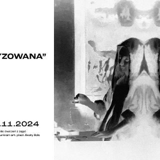 Zdjęcie wydarzenia Wystawa "Materia Zvermeeryzowana" - stylizacja i aranżacja w fotografii