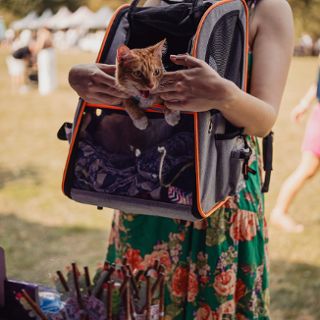 Zdjęcie wydarzenia V Wielki Piknik Charytatywny GRUPY RATUJ