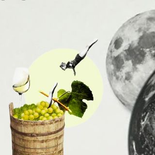 Zdjęcie wydarzenia Degustacja win biodynamicznych: ZUCCA x CHAMPANERIA | La Voce Della Luna