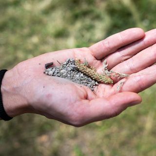 Zdjęcie wydarzenia Pejzaż sąsiedzki – warsztaty rodzinne z Magdą Weber