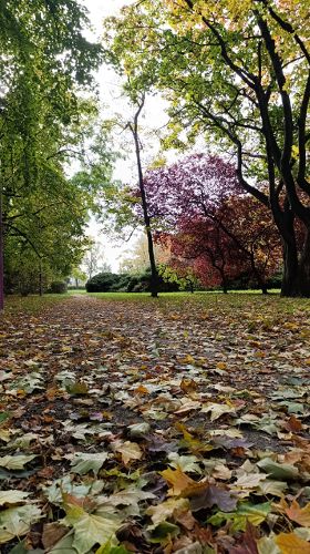 Zdjęcie wydarzenia Nekropolie dawnego Wrocławia: Park Andersa i okolice ulicy Ślężnej