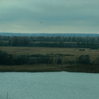 Zdjęcie wydarzenia Voices from Ukraine. Landscapes – wystawa