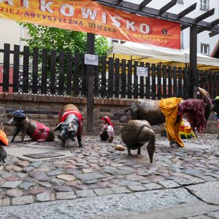 Zdjęcie wydarzenia Jatkowisko [Święto Wrocławia 2025]