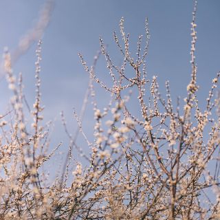 Zdjęcie wydarzenia Spacer po Wrocławskich Polach Irygacyjnych