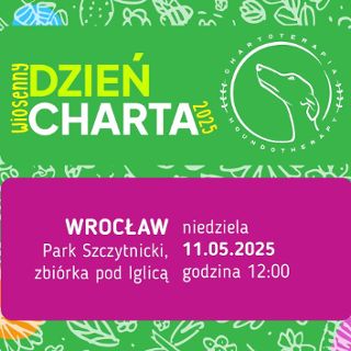 Zdjęcie wydarzenia Wiosenny Dzień Charta – Wrocławski Charytatywny Spacer z Chartami