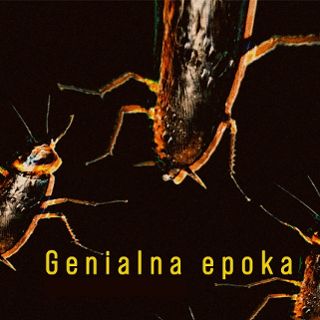 Zdjęcie wydarzenia „Genialna epoka” w ramach Dolnośląskiego Festiwalu Nauki
