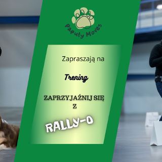 Zdjęcie wydarzenia Zajęcia Rally-O – nauka i zabawa z Twoim psem! | Trening otwarty