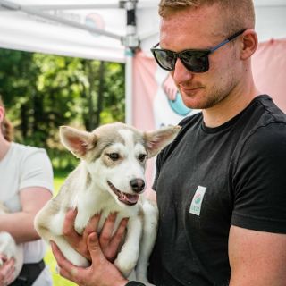 Zdjęcie wydarzenia V Piknik Adopciaka GRUPY RATUJ