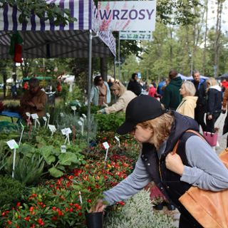 Zdjęcie wydarzenia Pamiętajcie o ogrodach. Kiermasz Ogrodniczy na Partynicach