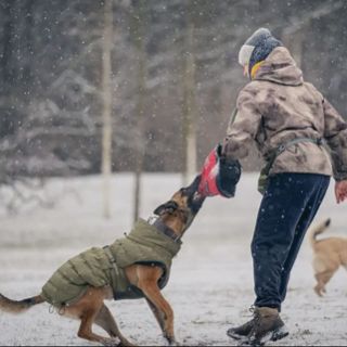 Zdjęcie wydarzenia Skuteczna pomoc w pracy z psem agresywnym, lękowym, po przejściach
