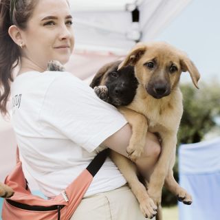 Zdjęcie wydarzenia V Piknik Adopciaka GRUPY RATUJ