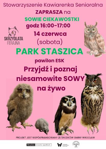 Zdjęcie wydarzenia Spotkanie z sowami w Parku Staszica