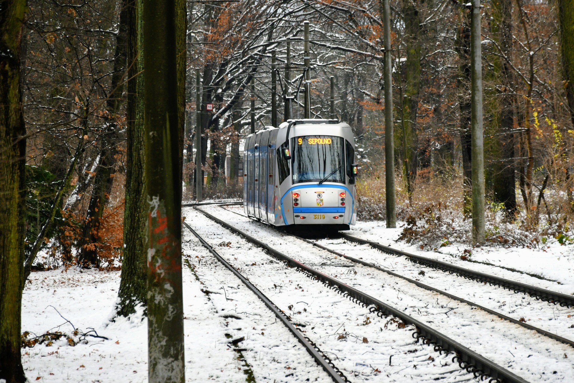 <p>&Scaron;koda 19T na Sępolnie.</p>