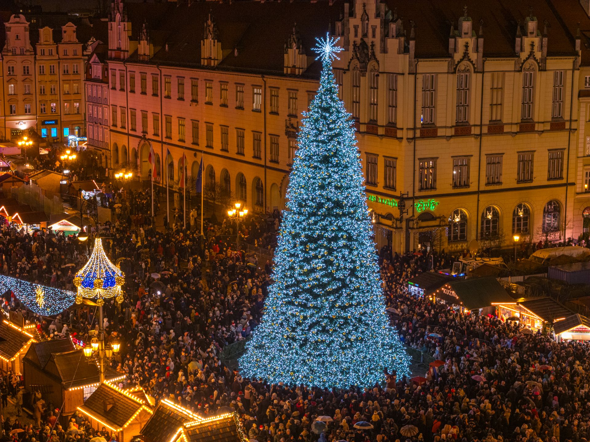Mikołajki na wrocławskim Rynku. Mikołaj, elfy, jarmark i rozświetlona choinka