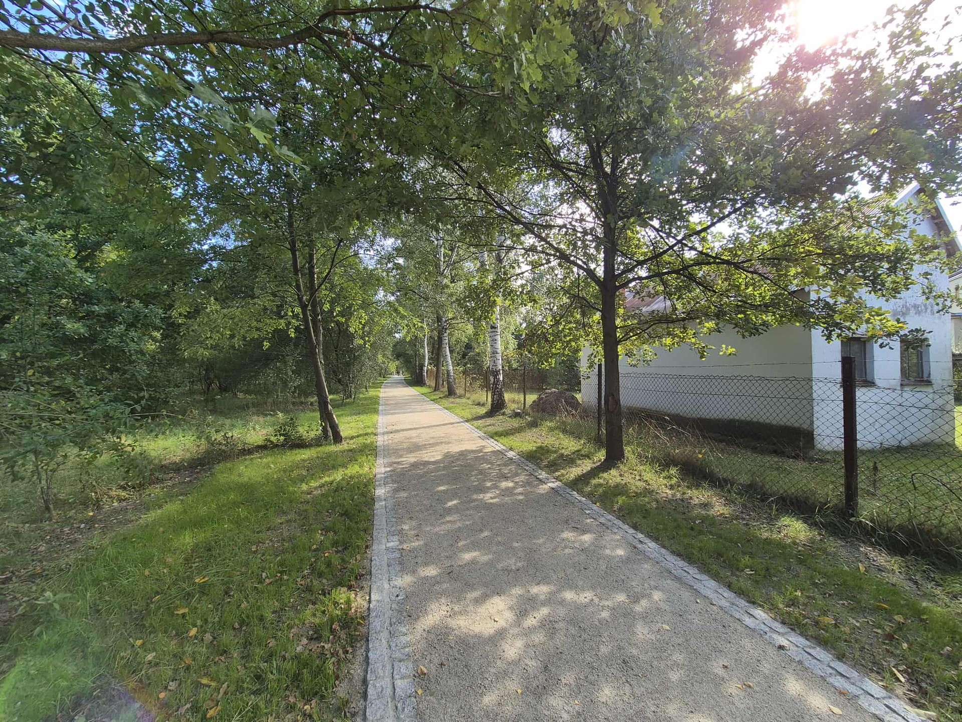 Ścieżka wśród drzew. Nowa nawierzchnia na alejkach w Parku Maślickim.