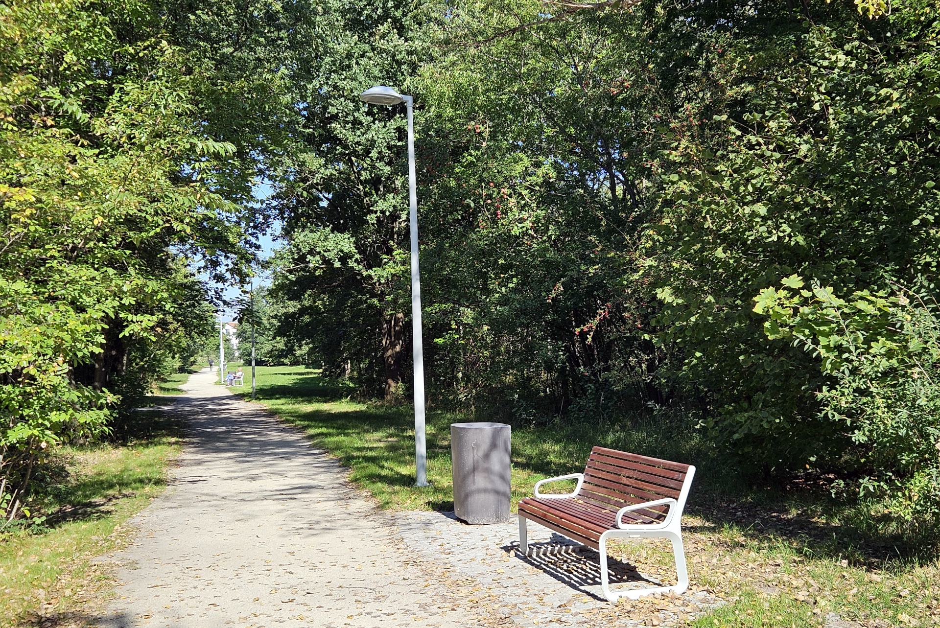 Latarnia i ławka przy ścieżce na tle drzew. Nowe oświetlenie i ławki w Parku Maślickim.