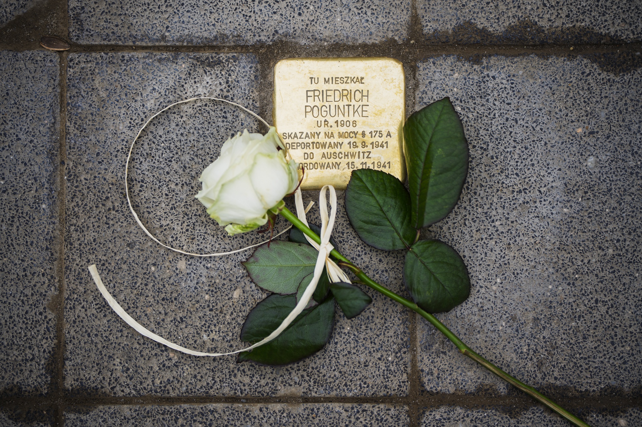 Dni Queerstorii we Wrocławiu przy ul. Jedności Narodowej, wmurowanie kamienia Poguntke, Kipke.