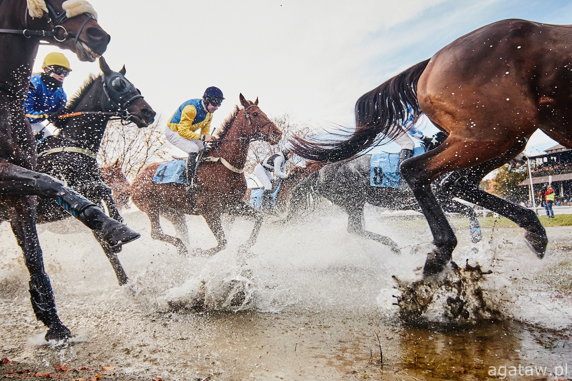 Gonitwa przeszkodowa na Partynicach