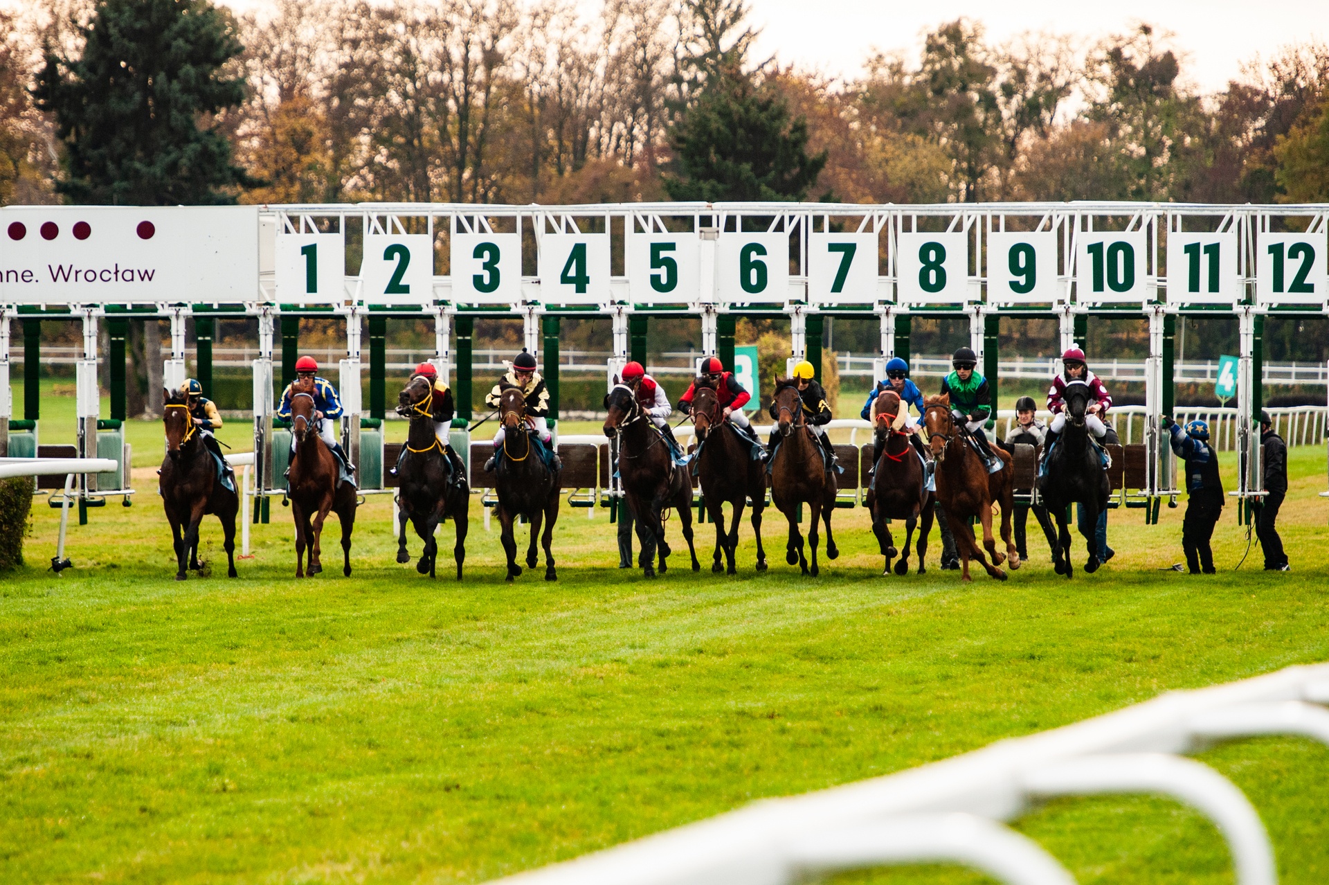 start gonitwy koni na Partynicach