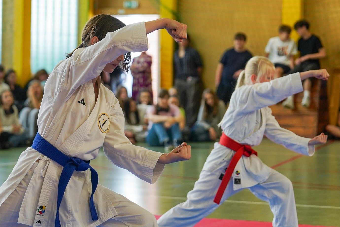Powiększ obraz: Dni Japońskie w IV LO we Wrocławiu