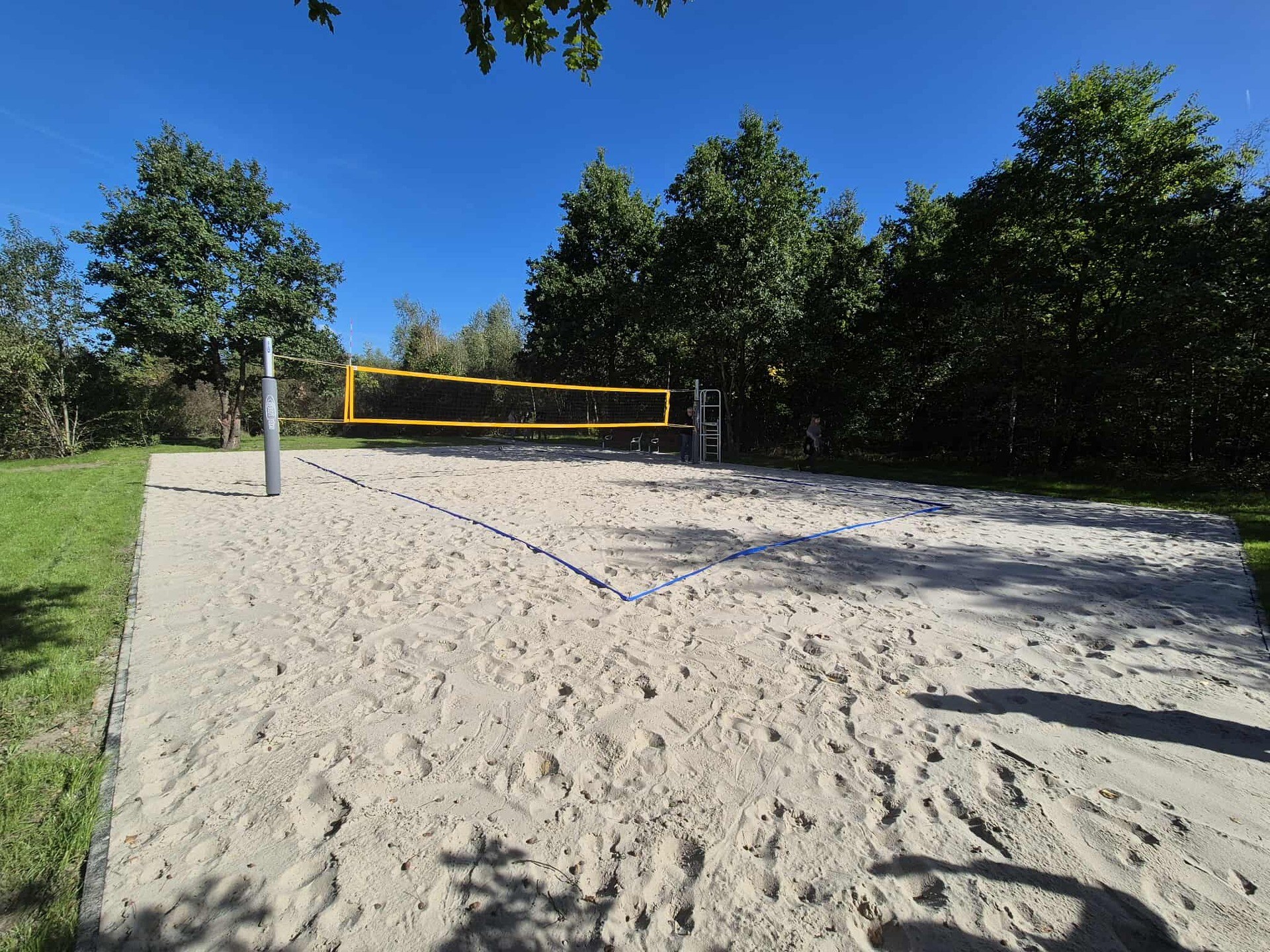 Powiększ obraz: Piaszczyste boisko z siatką wśród drzew. Boisko do siatkówki plażowej w Parku Maślickim.