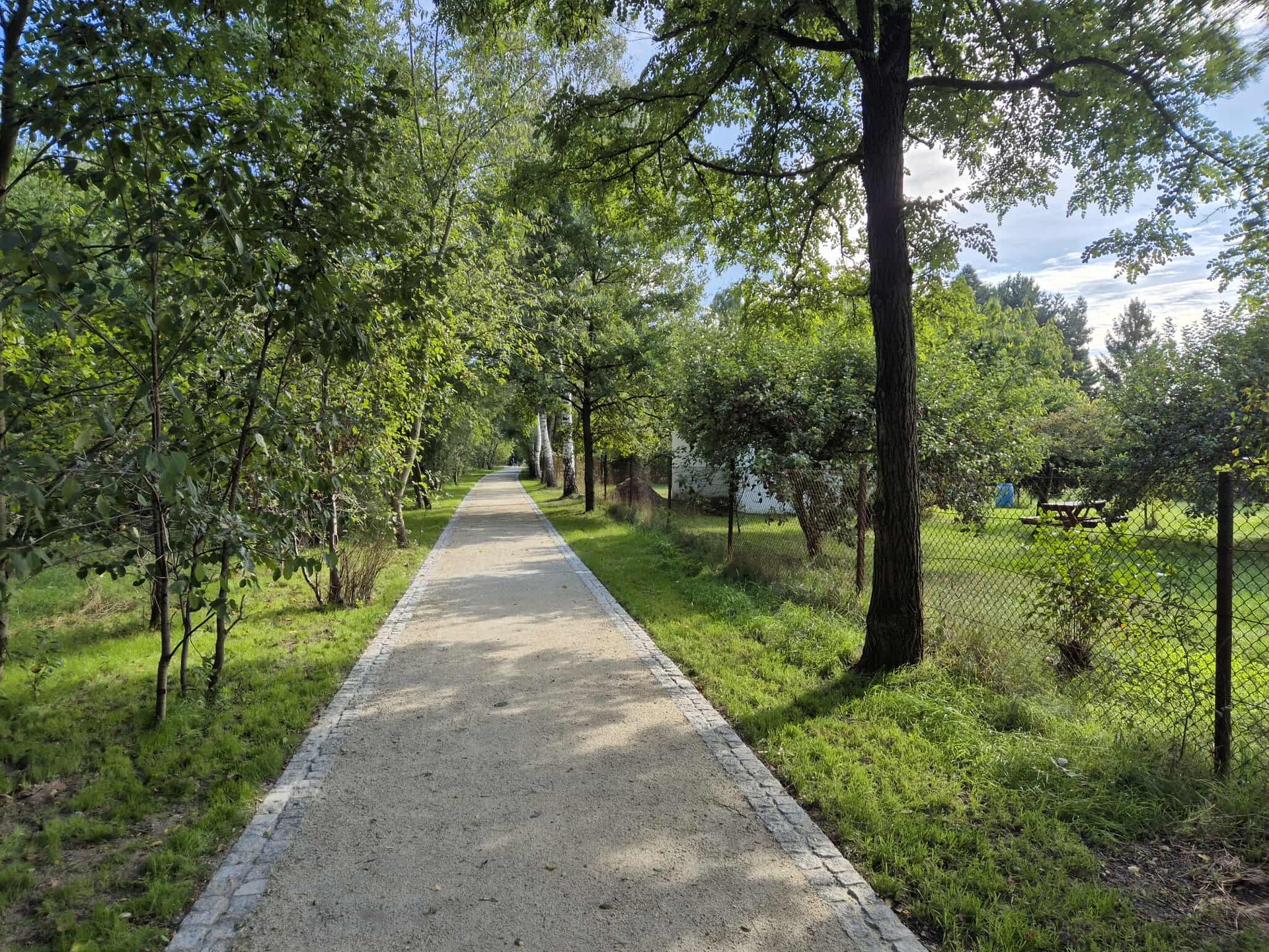 Powiększ obraz: Ścieżka wśród drzew. Nowa nawierzchnia na alejkach w Parku Maślickim.