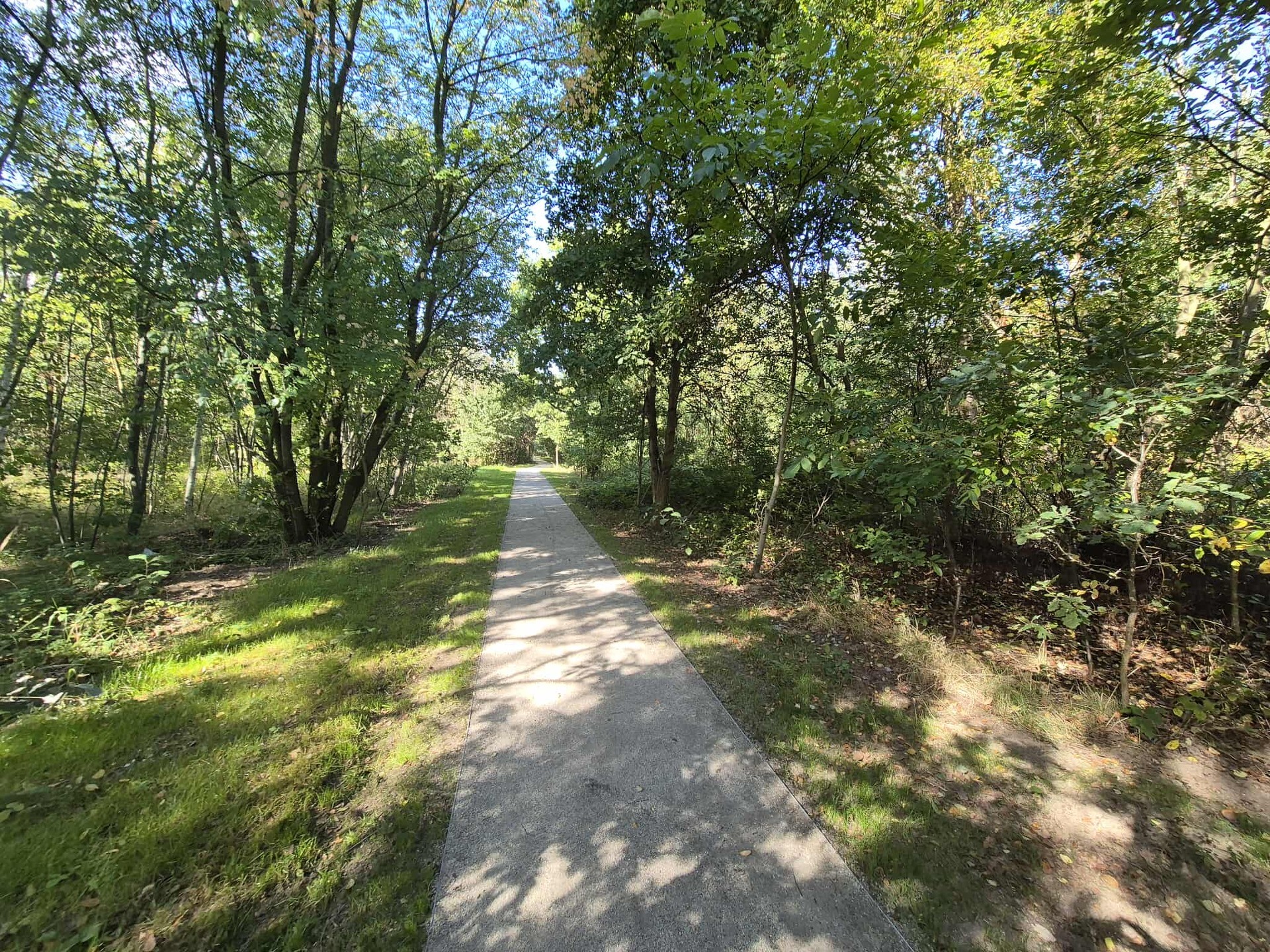 Powiększ obraz: Ścieżka wśród drzew. Nowa nawierzchnia na alejkach w Parku Maślickim.