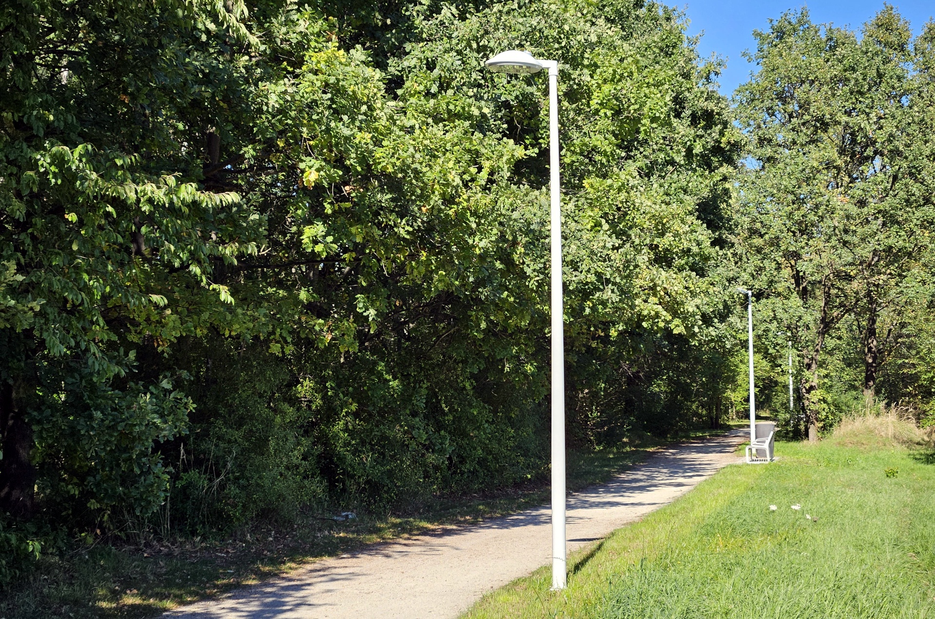 Powiększ obraz: Latarnia przy ścieżce na tle drzew. Nowe oświetlenie w Parku Maślickim.