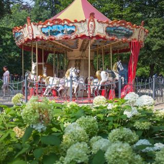 Carousel in the Old Town Garden