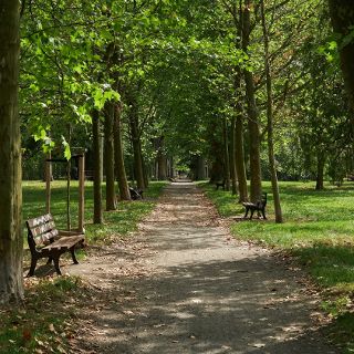 Park Skowroni